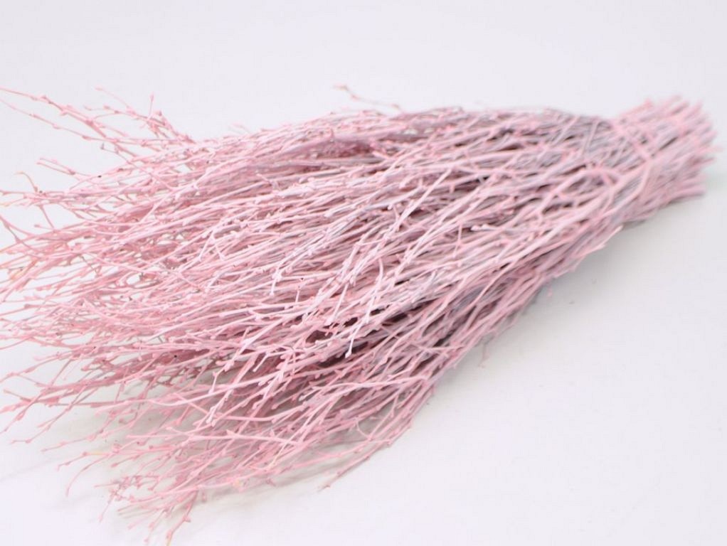 Birch pink-wash 60cm 50pcs