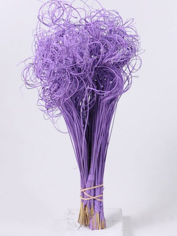 Curly Ting Lila 300 Tiges