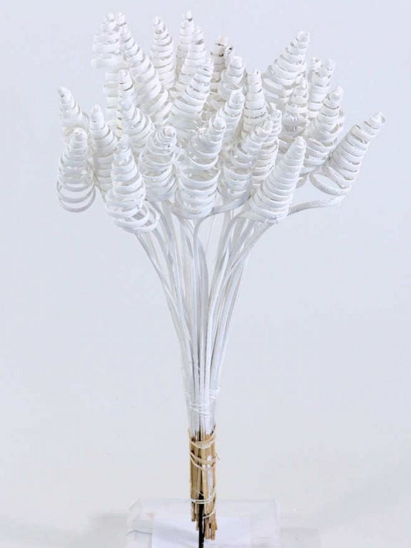 Cane Cone sur Tige blanc