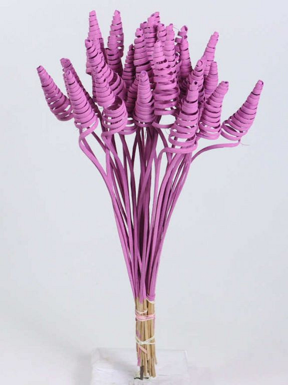 Cane Cone sur Tige rose foncé