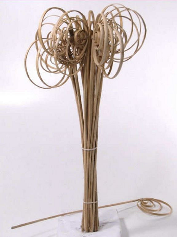 Cane Coil 55cm