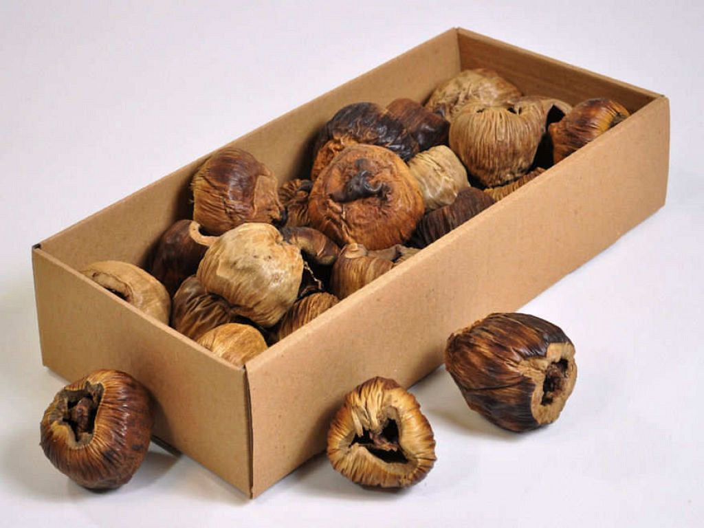 Talami 6-8cm 25-Pack