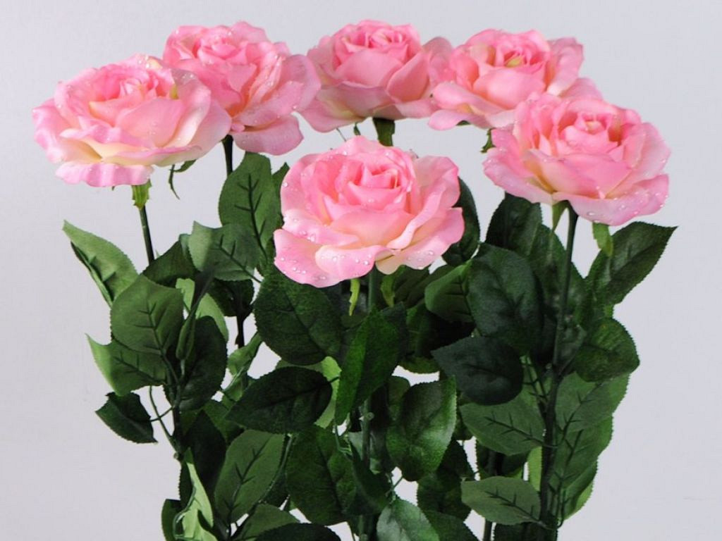 Rose Chute 70cm ultra rose
