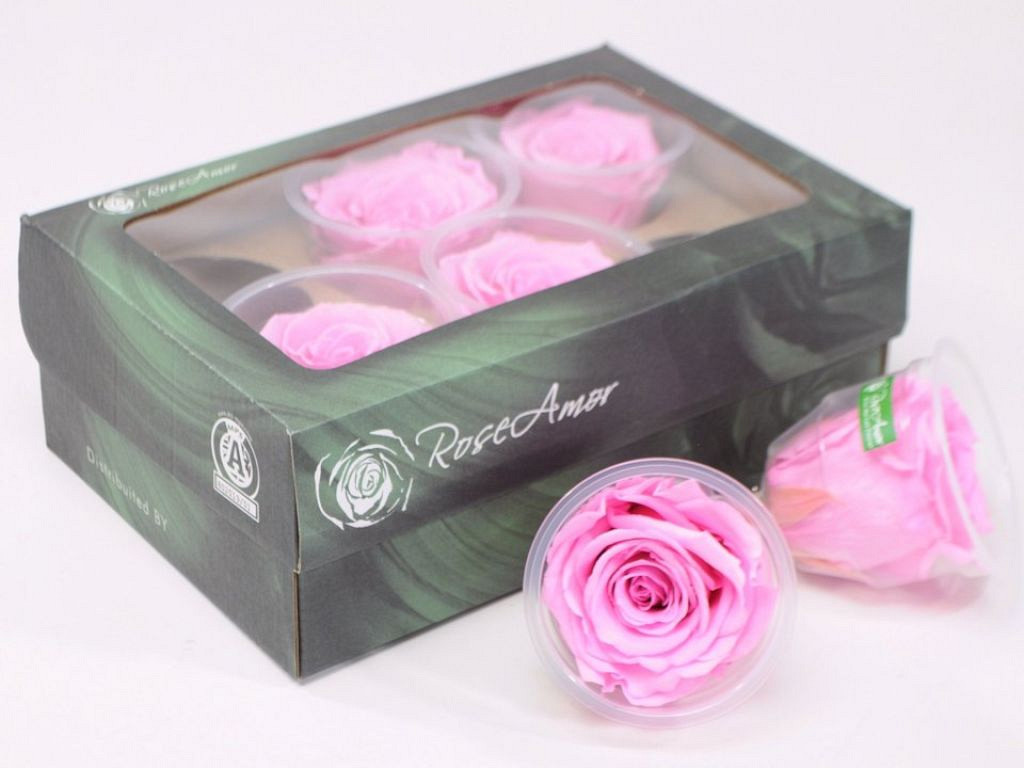 Roses préservé6cm rose clair