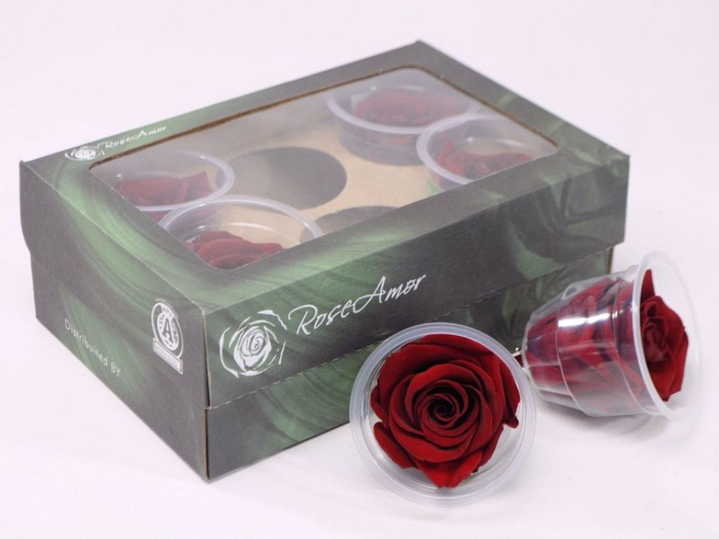Rozenkoppen 6cm fluweel rood