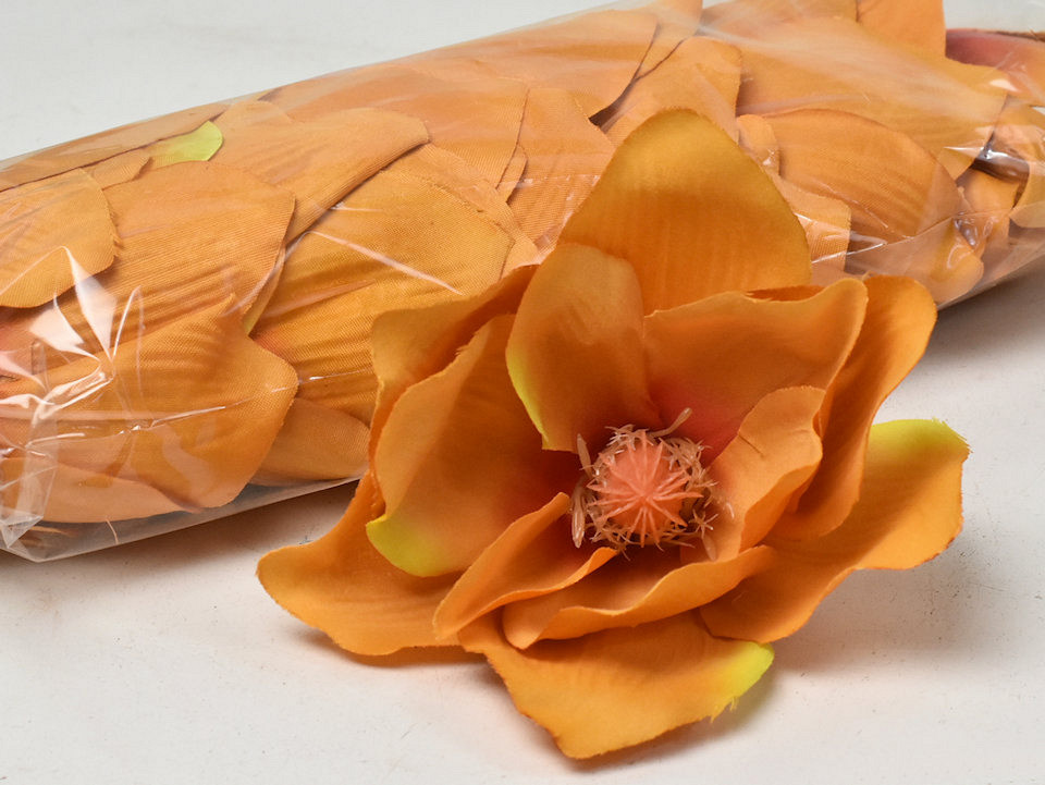 Magnolia D17cm Orange