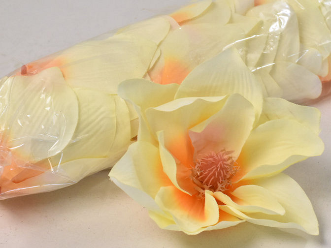 Magnolia D17cm Crème