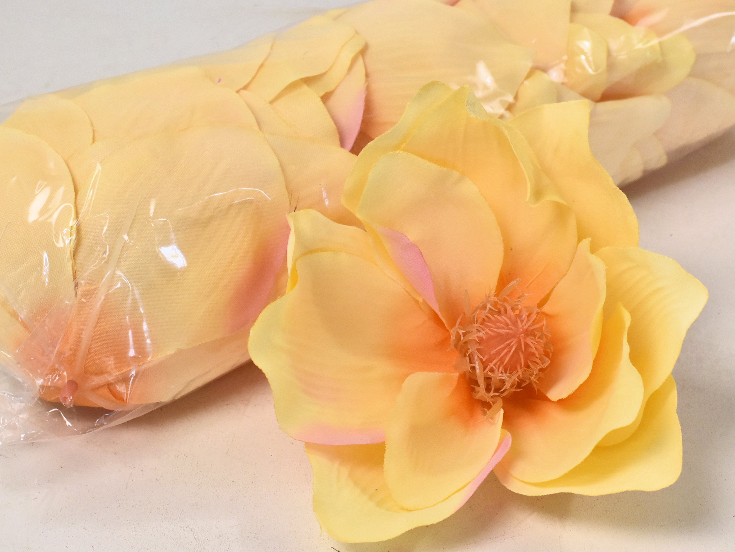 Magnolia D17cm Oranje