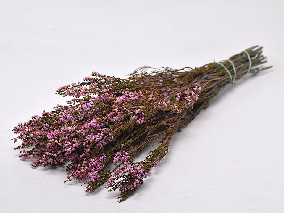 Heide Roze 60cm