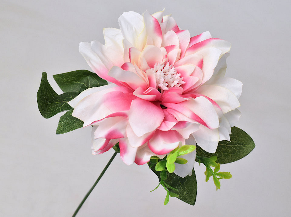 Dahlia D14cm Roze