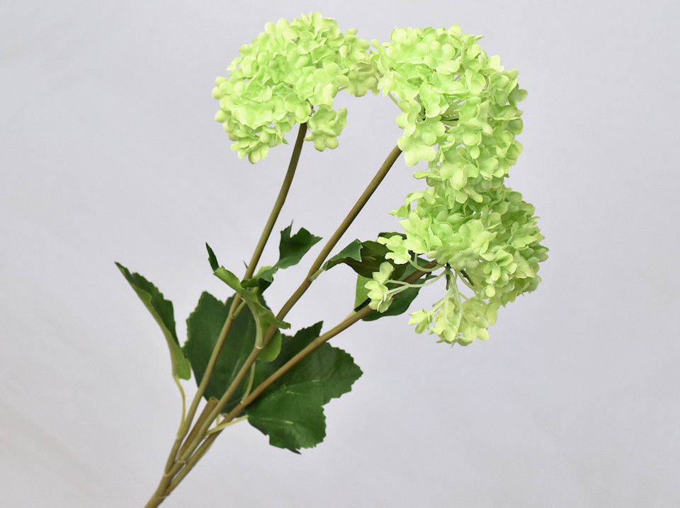 Hortensia 3pcs Vert 72cm