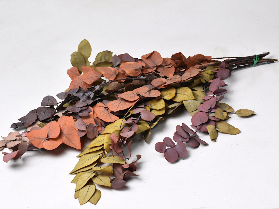 Eucalyptus Stuartiana Mix 65cm