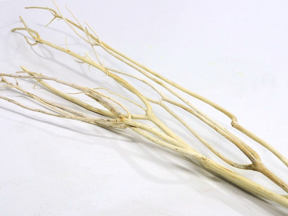Mitsumata 110cm Gebleekt