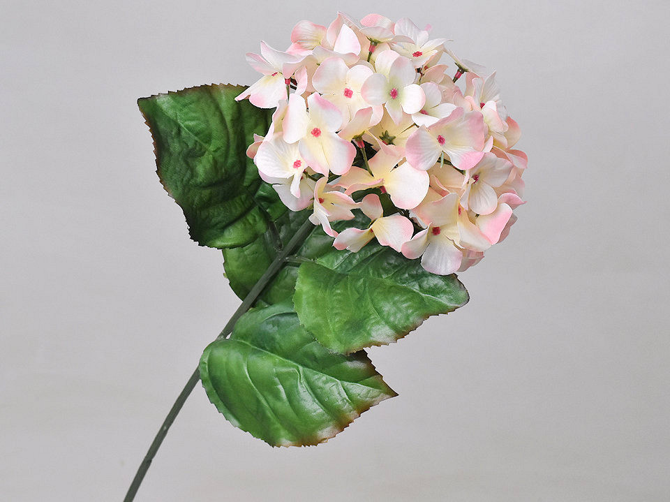 Hortensia 65cm Roze