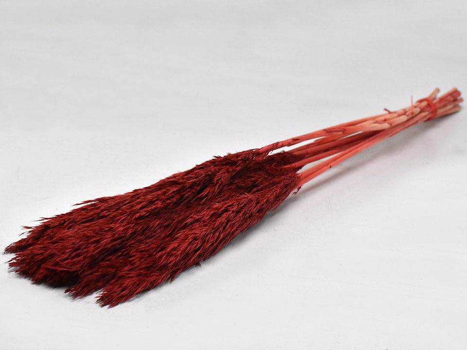 Nanal gras 75cm Rood