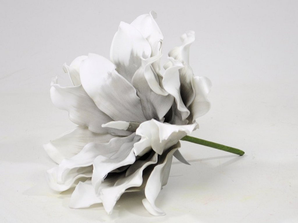 Echeveria en mousse 22cm blanc/gris