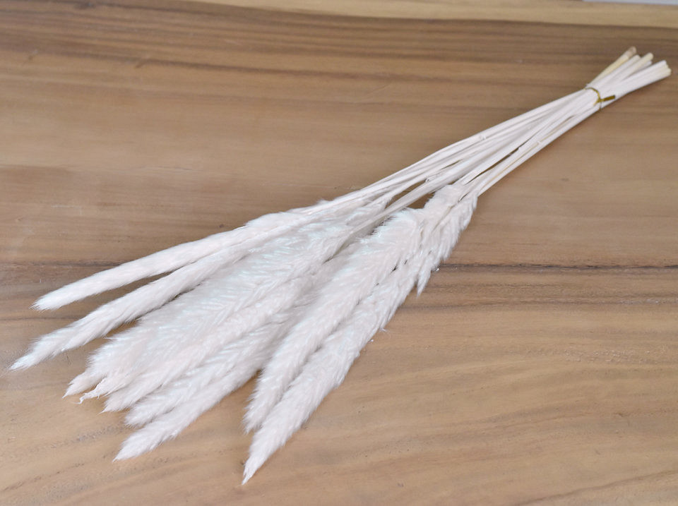 Pampas 65cm Gebleekt 15-Pack