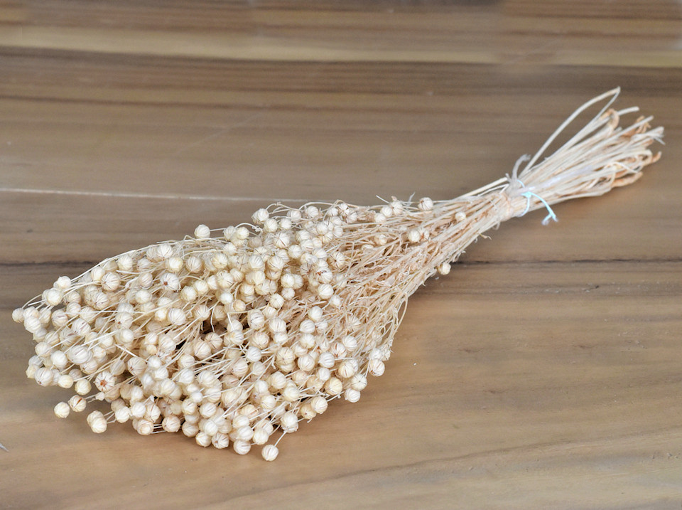 Linum Gebleekt 100gr.