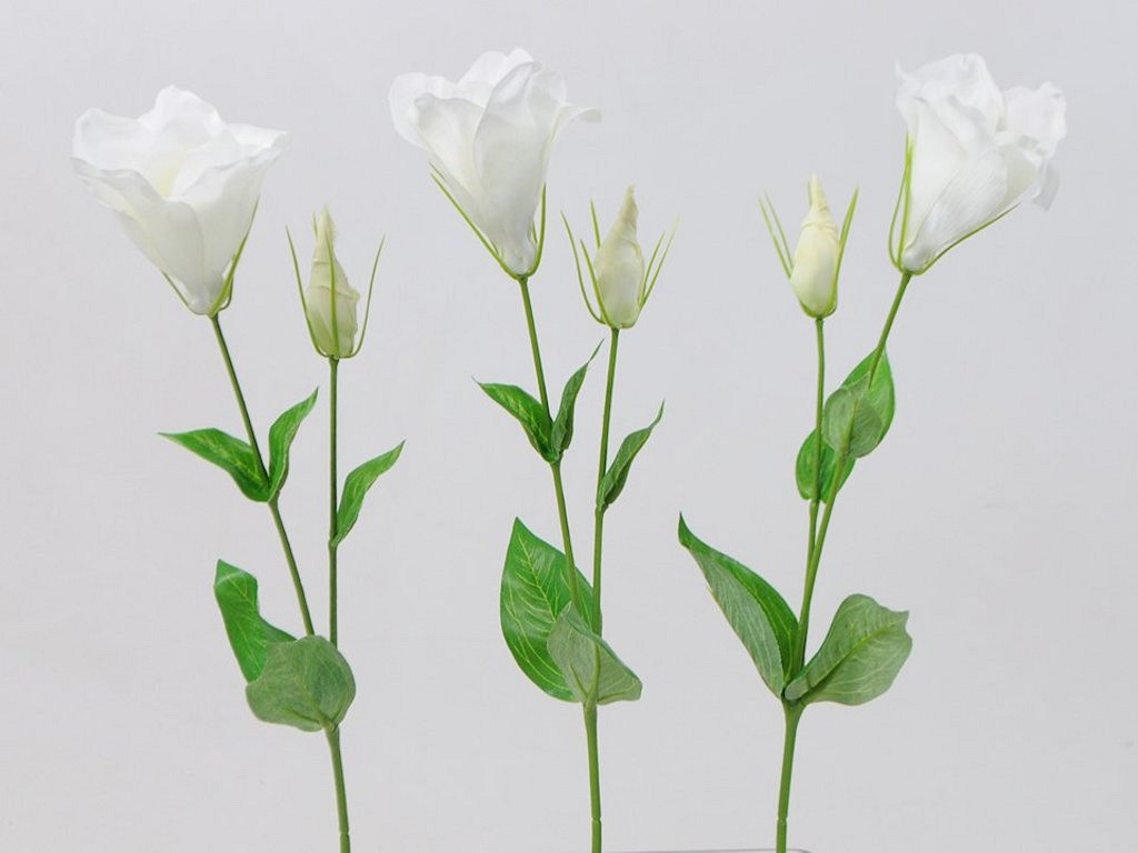 Lisianthus 42cm blanc
