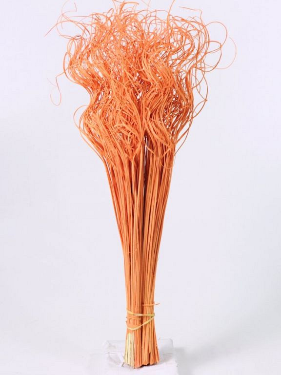 Curly Ting oranje 300 Stelen