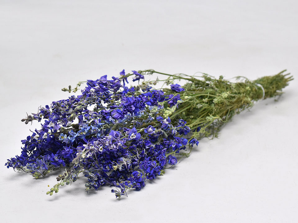 Delphinium Mix Blauw 65cm