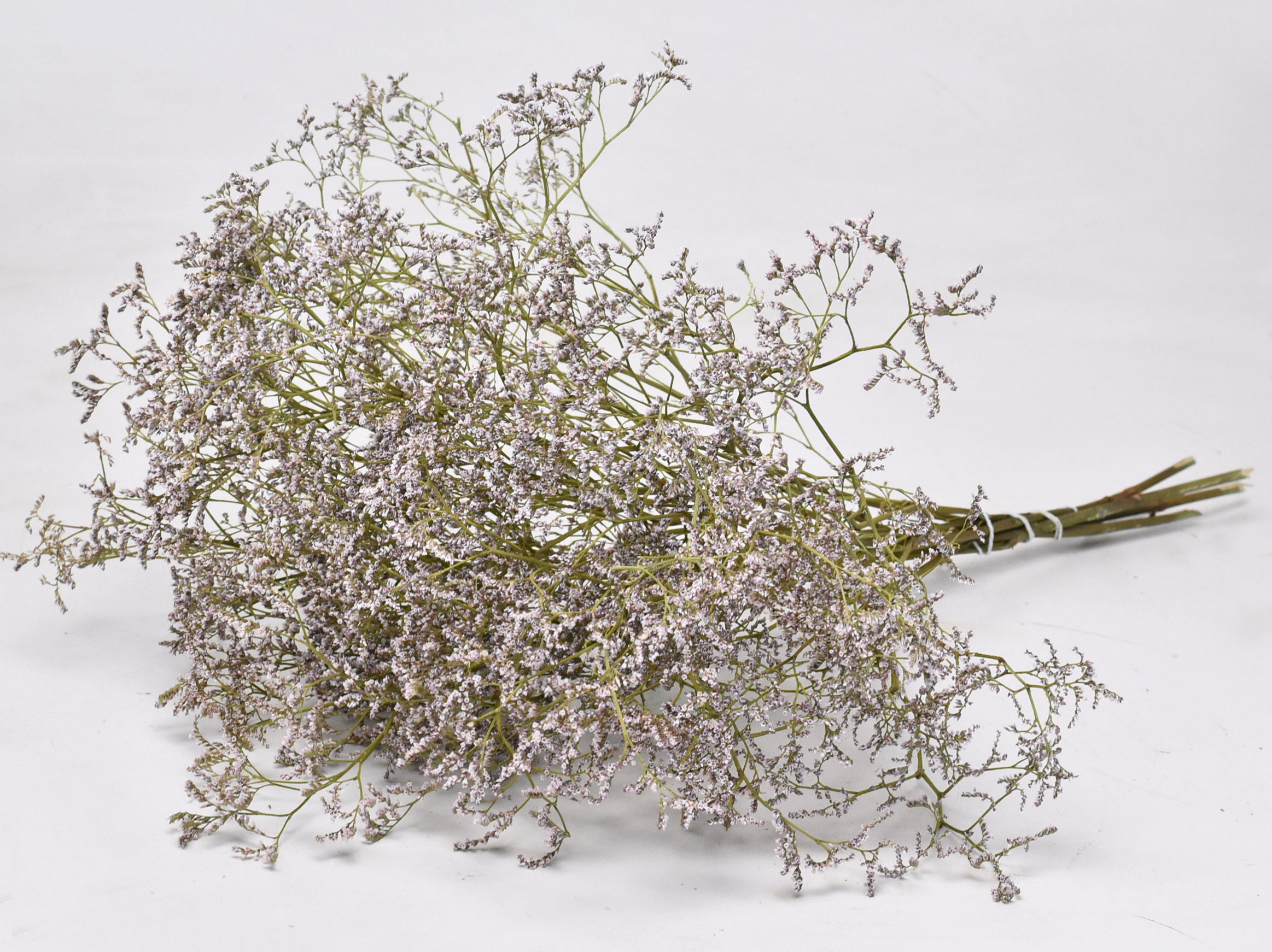 Limonium 60cm Licht Lila