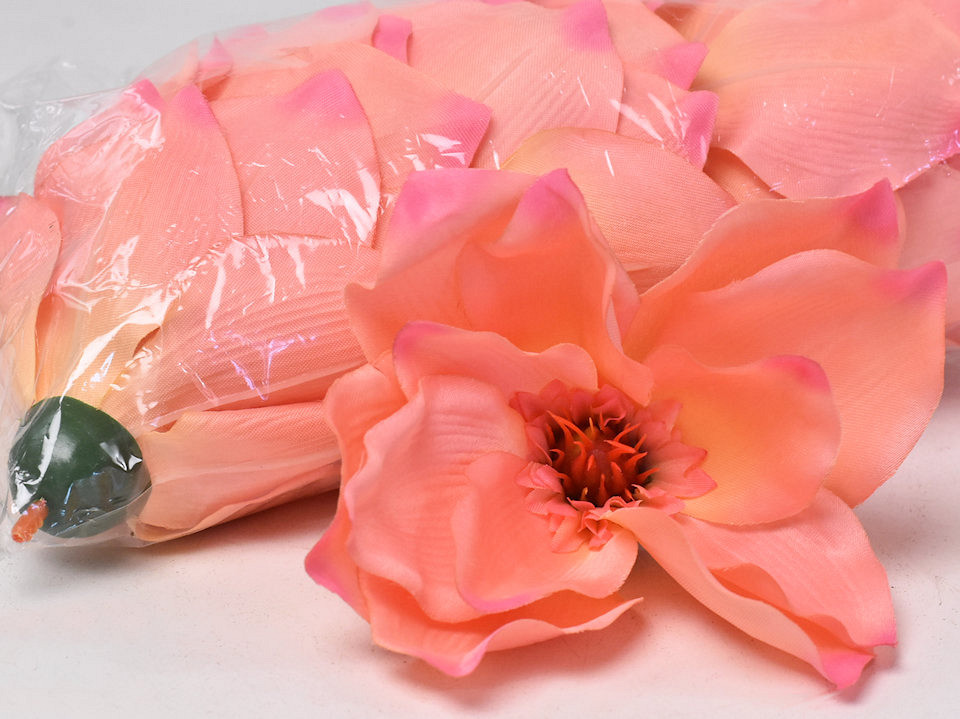 Magnolia D17cm Saumon Rose