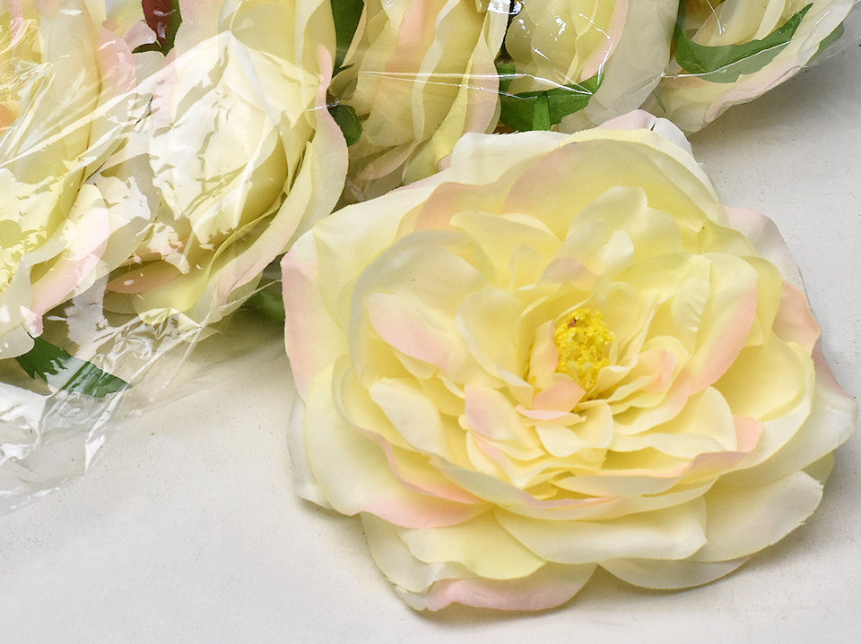 Pioen D13cm Creme roze