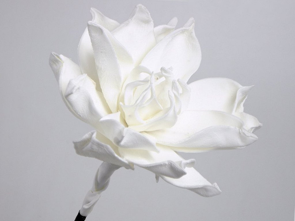 Foam Bloem 75cm wit