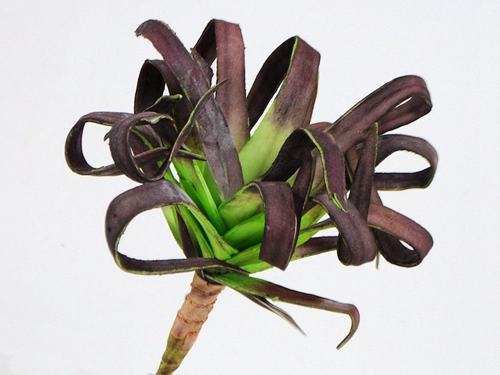 Foam Plant 25cm bruin-groen
