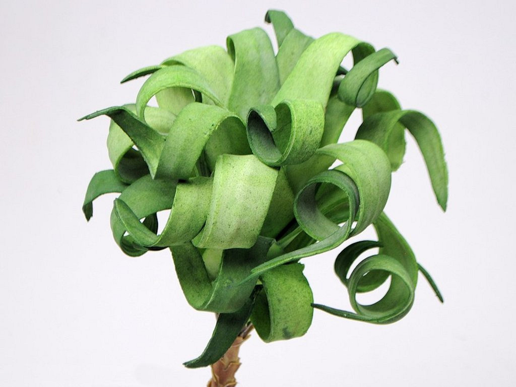 Plante en mousse 30cm vert