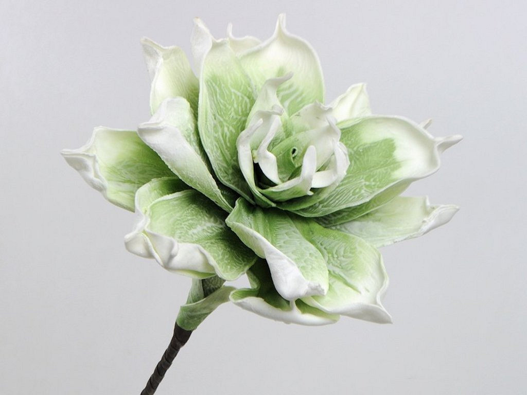 Foam Bloem 75cm wit-groen