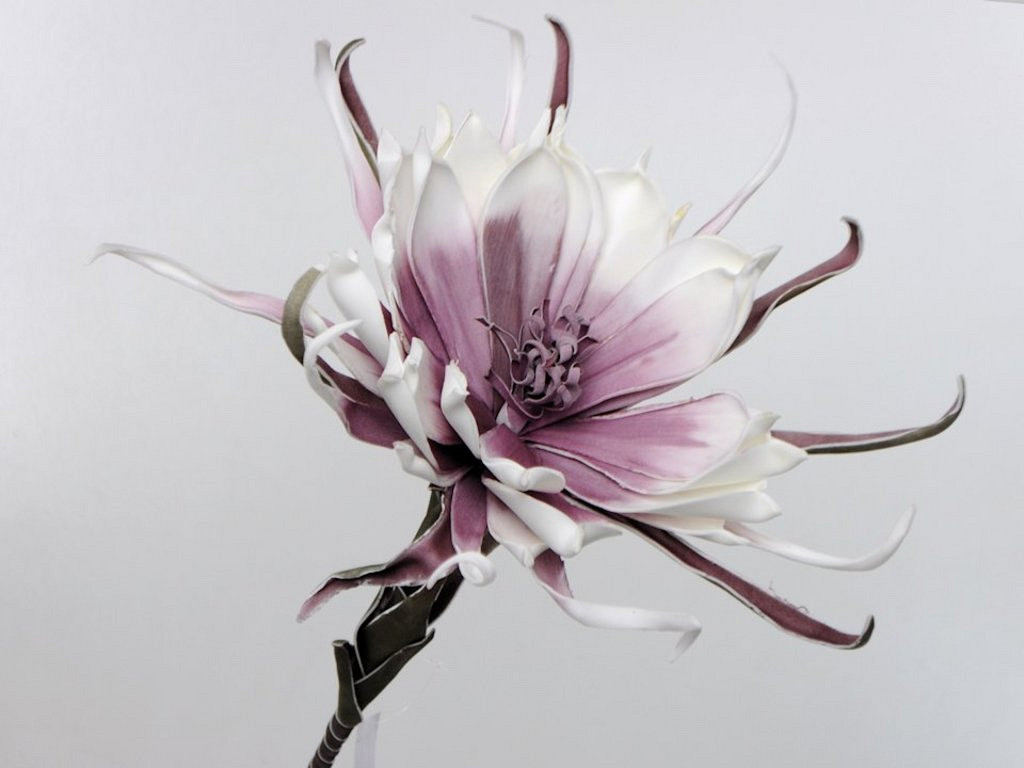 Foam Bloem 80cm Wit-Lila