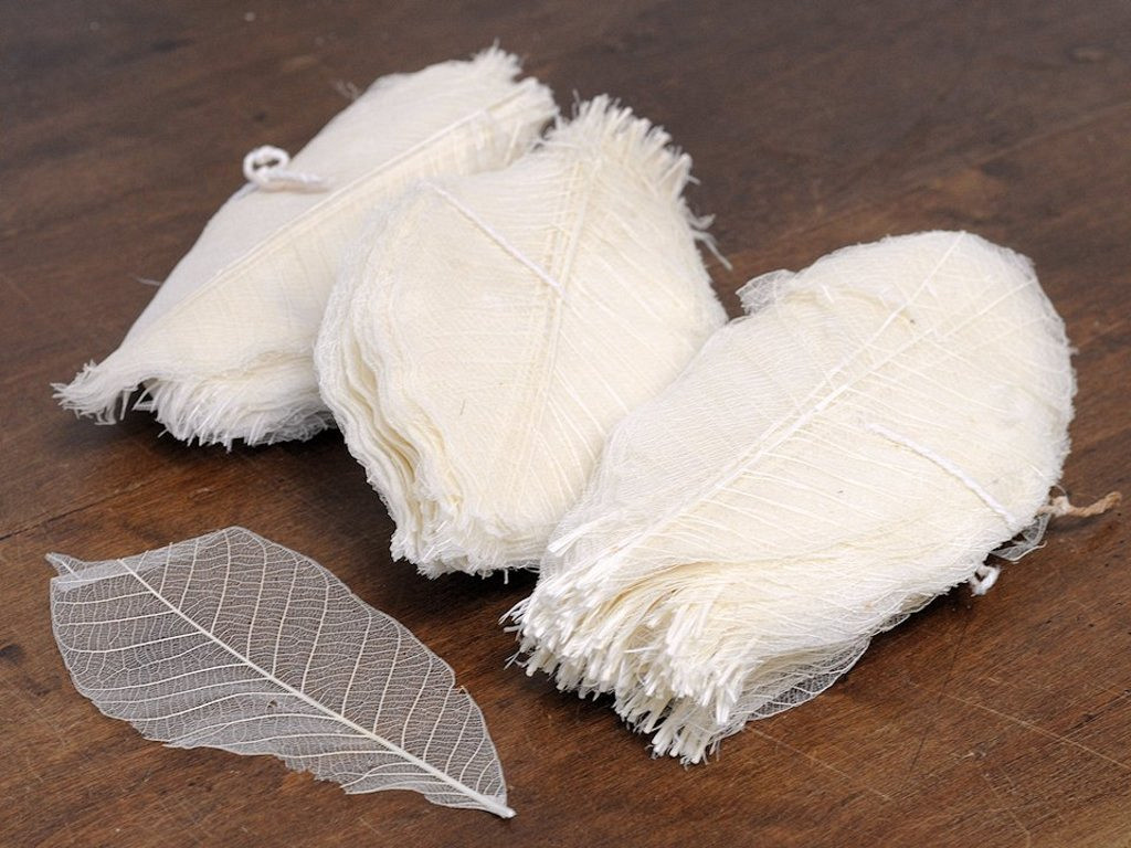 Skelet Blaadjes Wit per 100