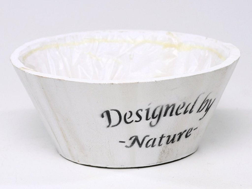 Bowl Wit D24cm