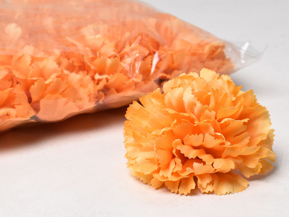 Dianthus D9cm Orange