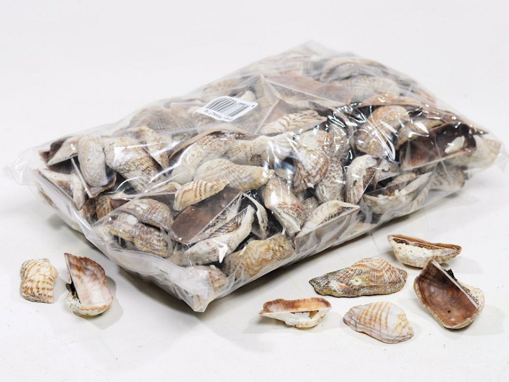 Schelpen Peanut 1kg