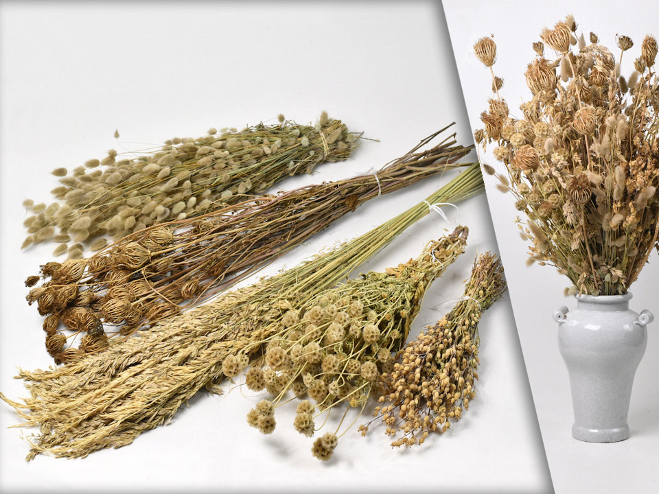 Droogbloemen Boeket XL Naturel