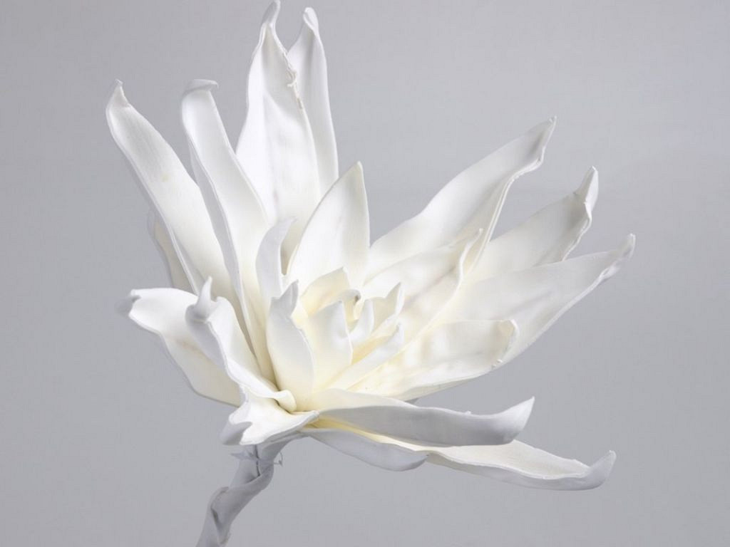 Foam Bloem Wit, D 35cm