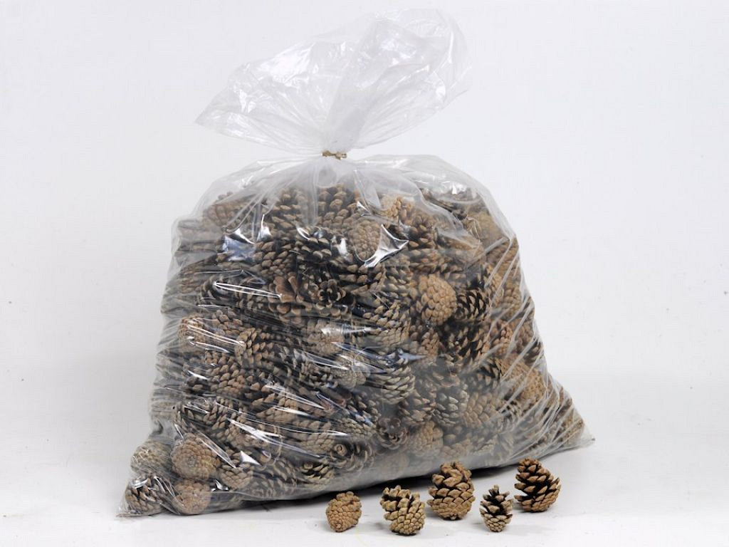 Mini Dennenappeltjes 5kg