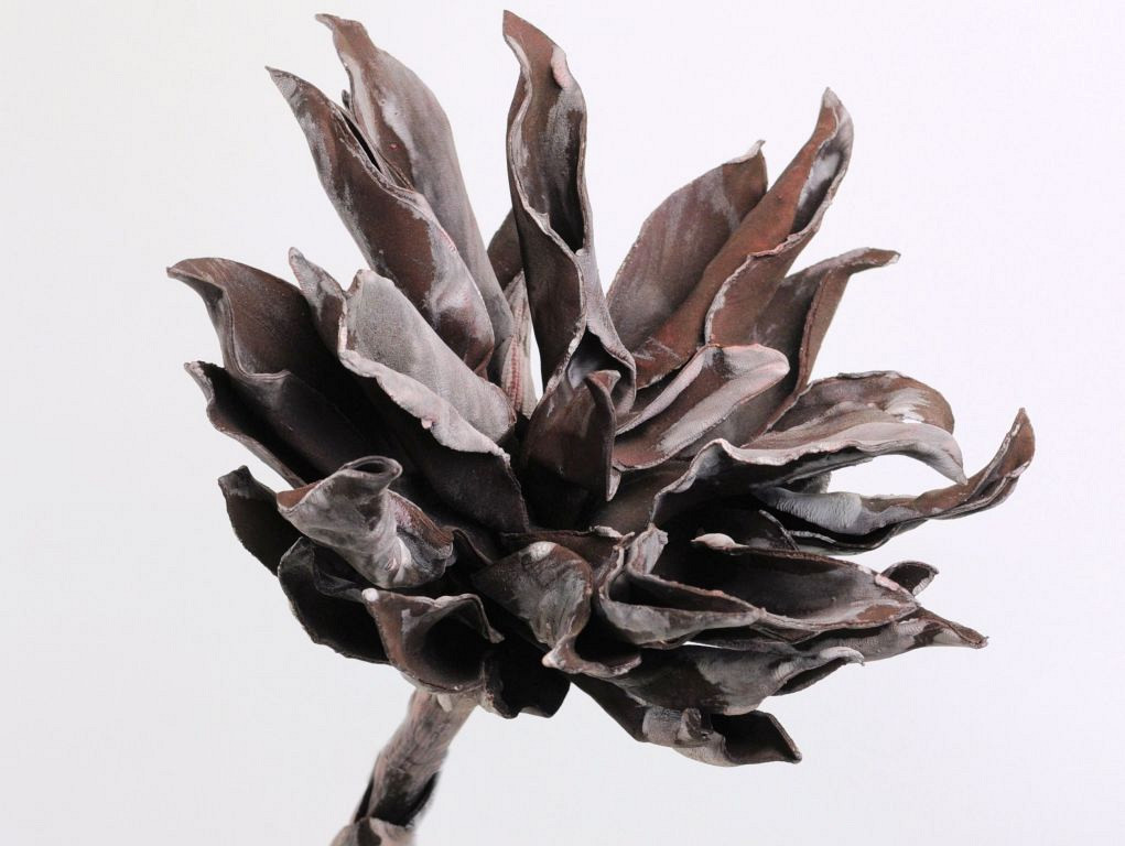Dracena 80cm Brown