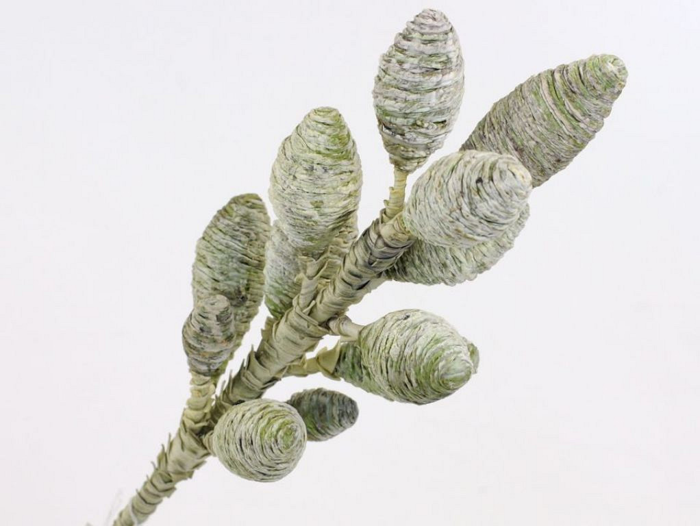 Decorum 100cm Green