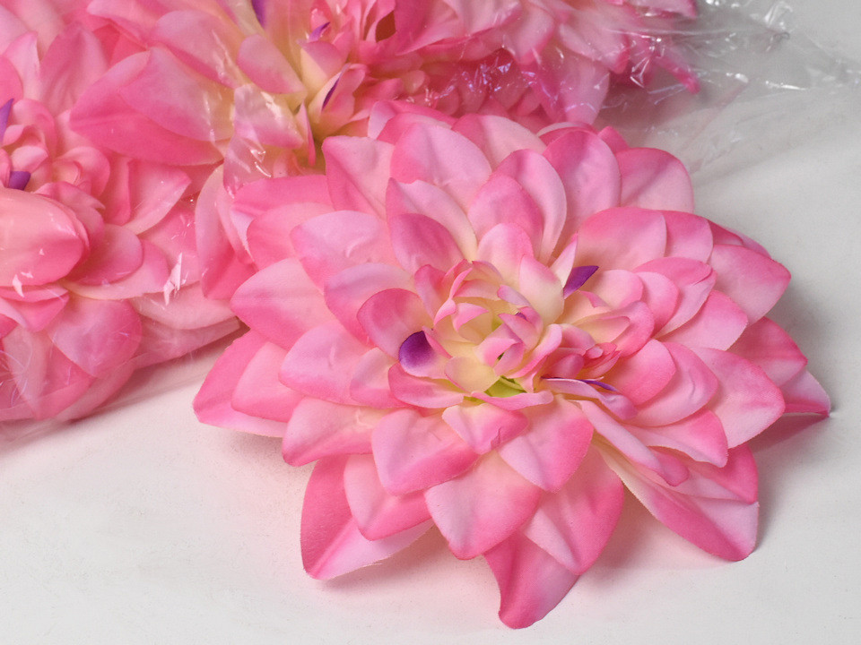 Dahlia D20cm Rose