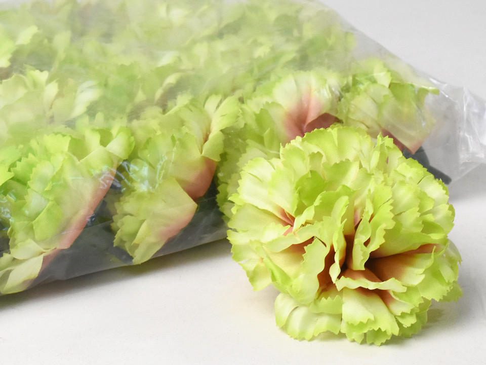 Dianthus Rose/Vert D9cm