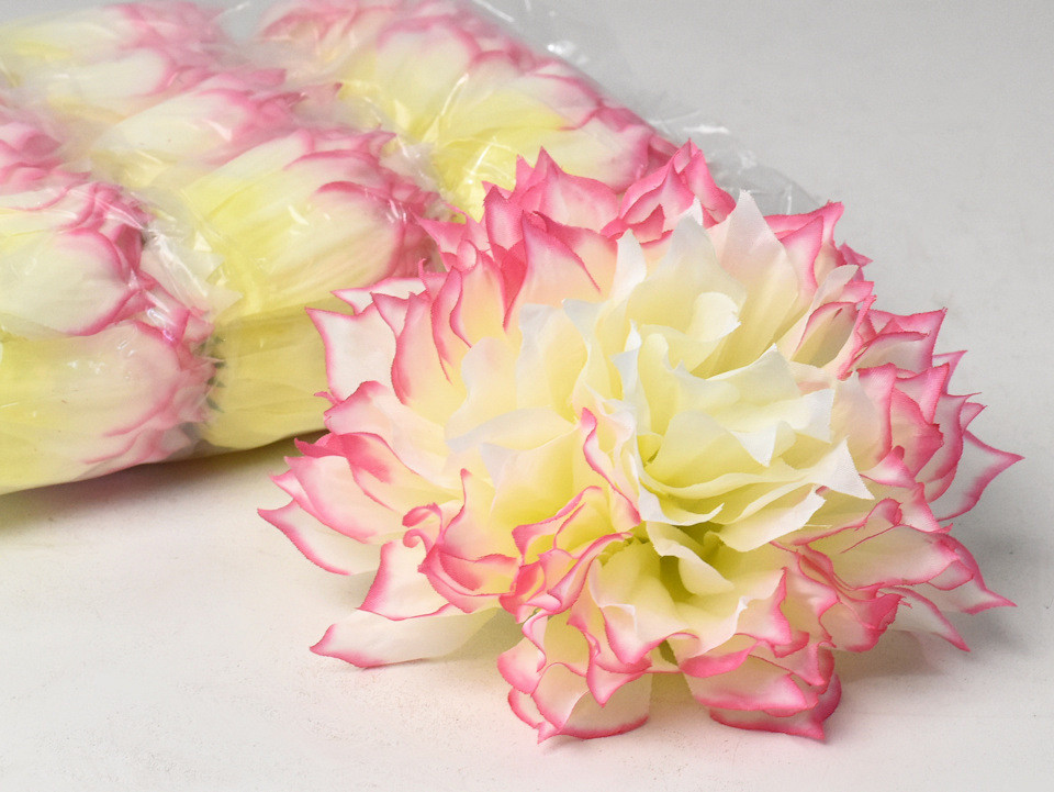 Dahlia D16cm Crème/Rose Tendre