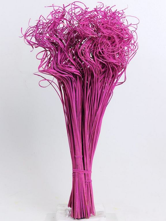 Curly Ting rose foncé 300 Tiges