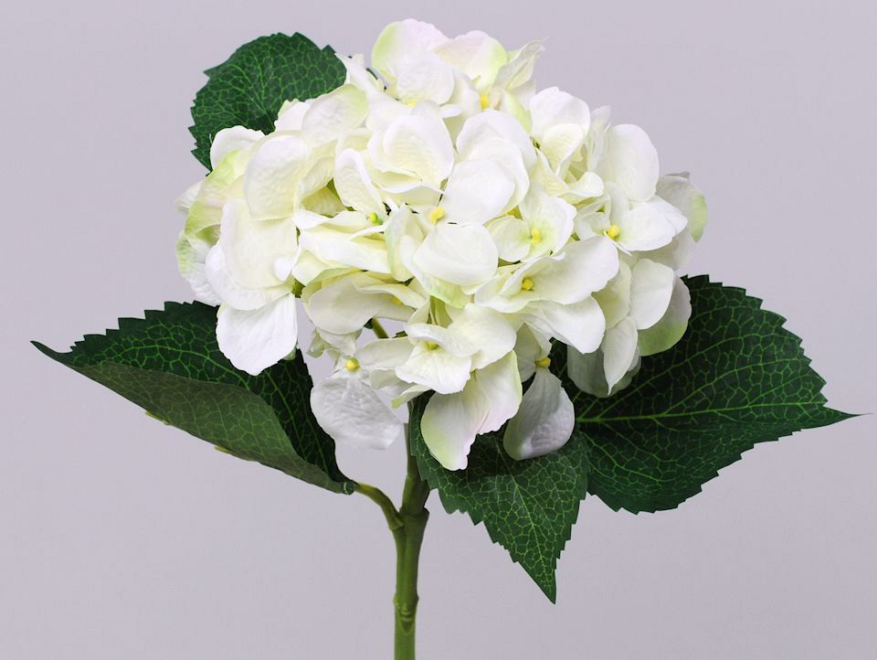 Hortensia 52cm blanc