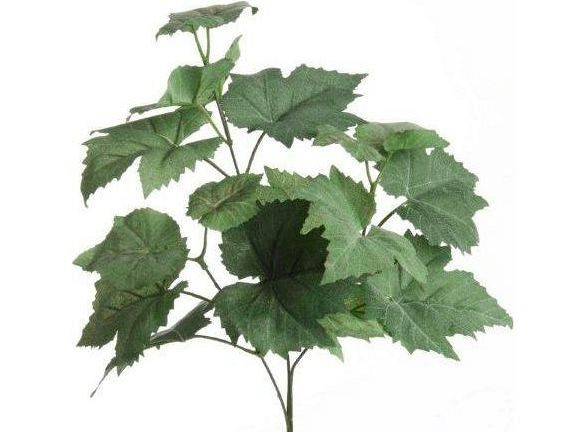 Druivenblad 58cm