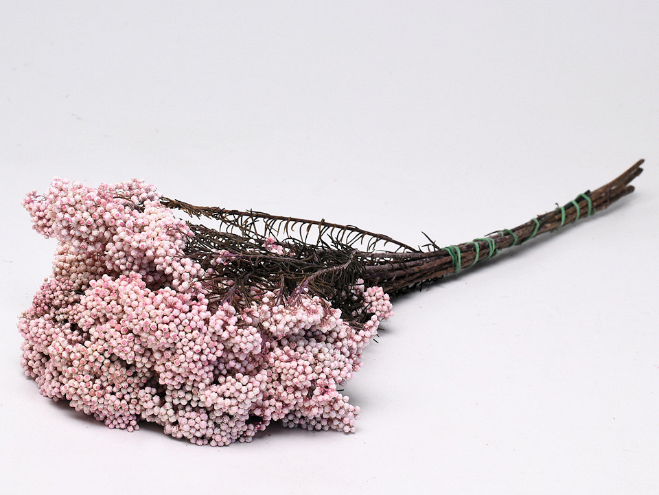 Rice Flower 100gr.