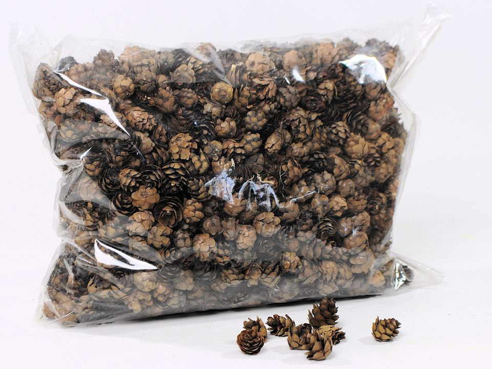 Omerica Cones 2KG-bag